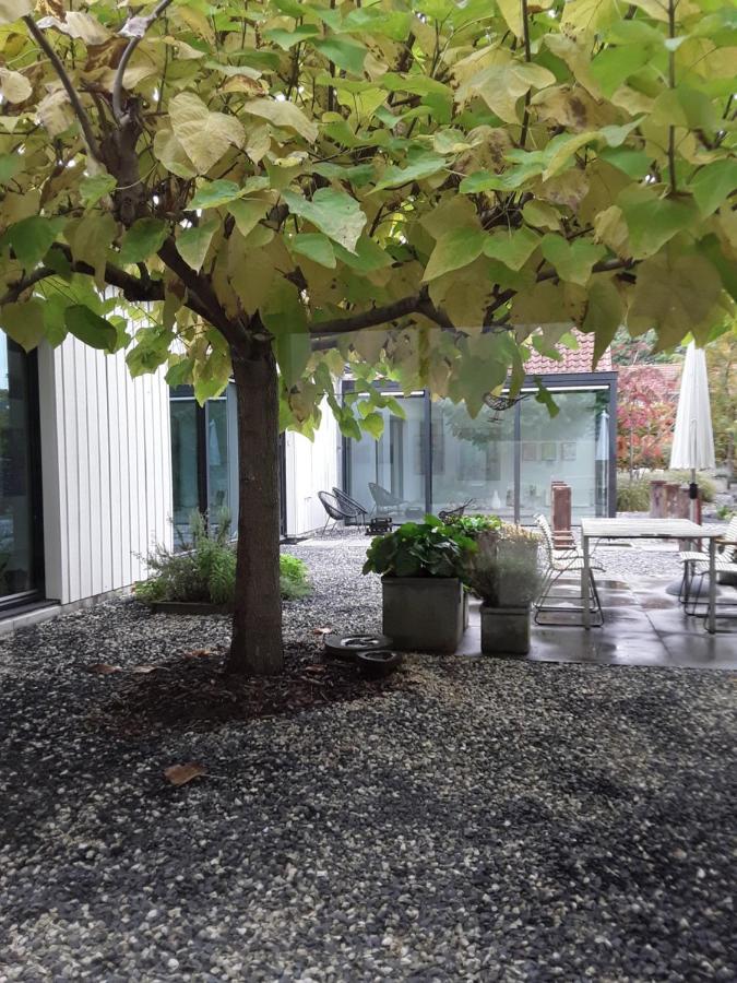 Maan B&B + Galerie Kortgene Exterior photo